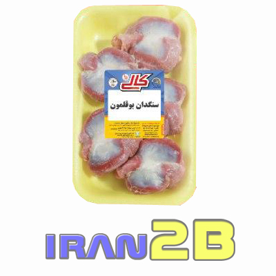 سنگدان بوقلمون